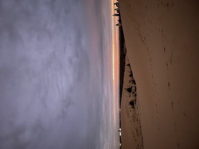 [일정] 나트랑 공항도착 당일 무이네 근교 투어  One Day