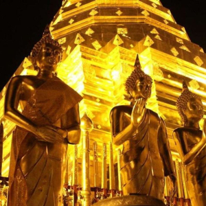 치앙마이 도이수텝 + 왓우몽 사원 야간 단독 투어