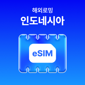 [인도네시아] eSIM 데이터 무제한 (500MB)/매일 500MB 이후 속도 저하