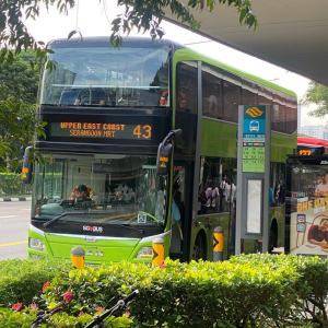  [싱가폴] 2층버스로 싱가폴 5대 핫플레이스,3대야경을 여행