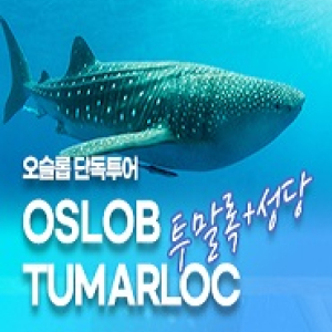 [세부] 오슬롭 단독투어