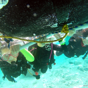 [괌] 체험다이빙 피쉬아이 포인트