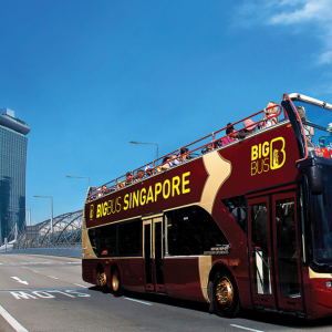  [싱가폴]빅버스 싱가포르: 홉온 홉오프 버스 투어