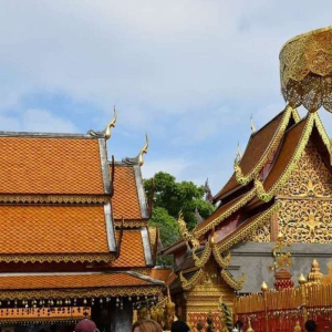 치앙마이 도이수텝 + 왓우몽 사원 야간 단독 투어