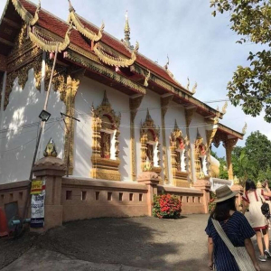 치앙마이 도이수텝 + 왓우몽 사원 야간 단독 투어