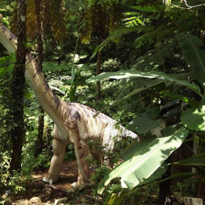 [오키나와]  다이노 공룡파크 얀바루 아열대의 숲 입장권