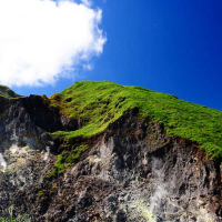 타이베이 대만 고궁박물관+양명산+단수이 투어