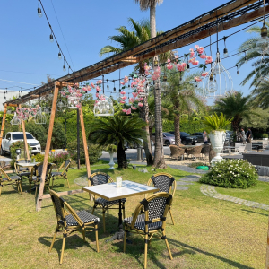 방콕 왕궁 & 씬 방콕 고급 레스토랑 단독 투어 