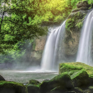 [방콕] 프리모피아자 + 카오야이국립공원 끼리끼리 힐링 프라이빗 투어